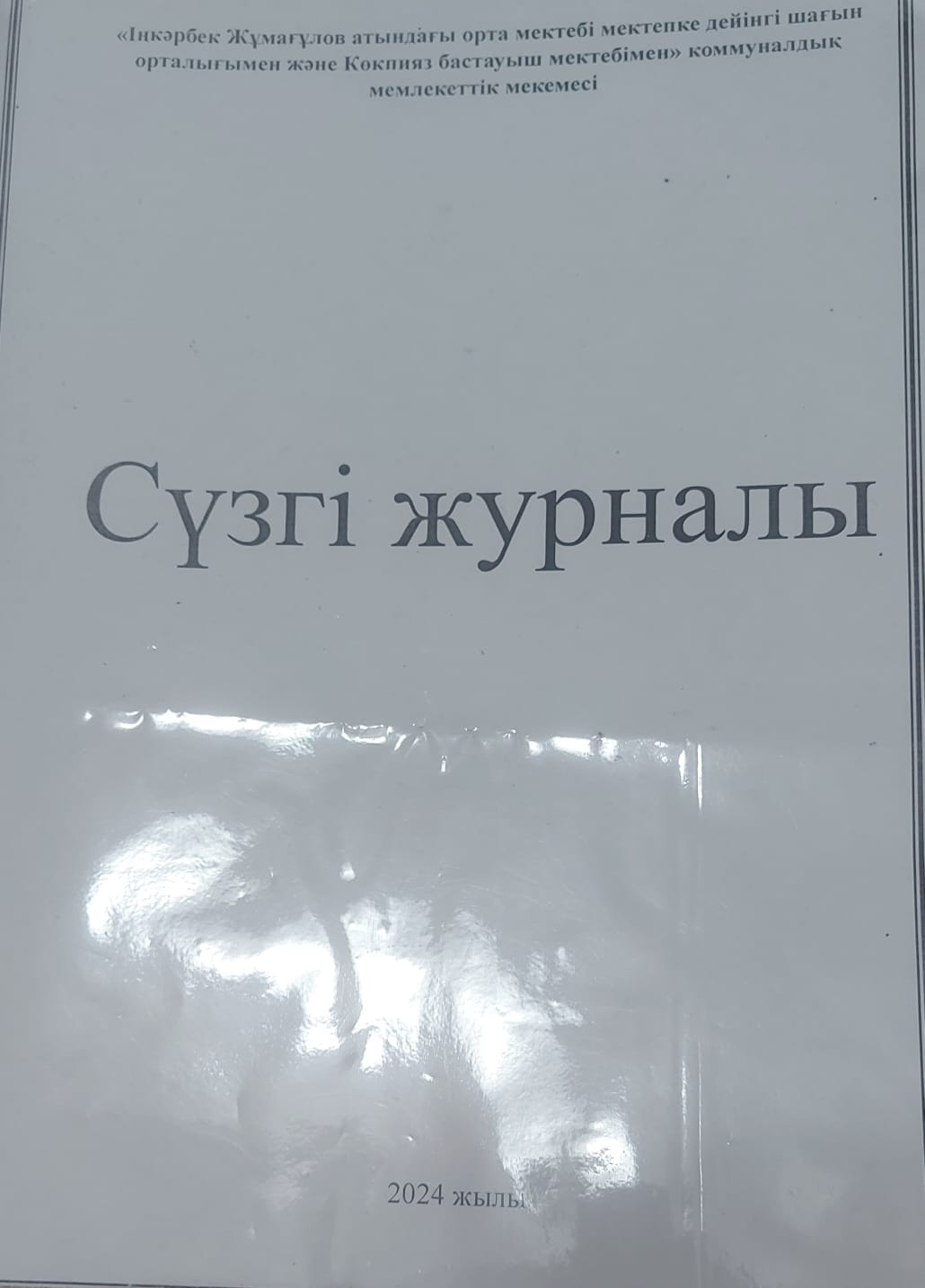 Сүзгі журналы